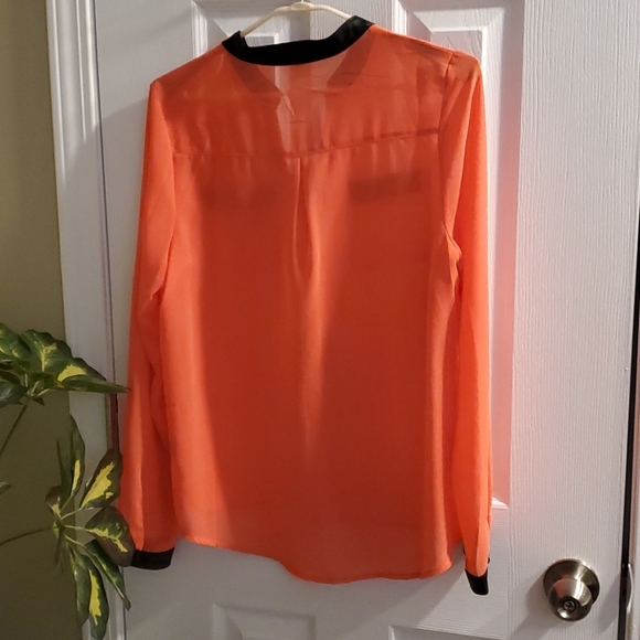 Sheer Blouse - Picture 5 of 5